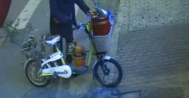 真人皮克敏「半夜出任務」 偷走20個盆栽